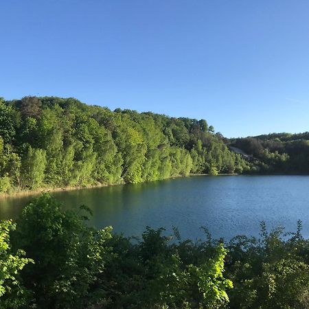 Domek Pod Swierkiem Wapnica  Buitenkant foto